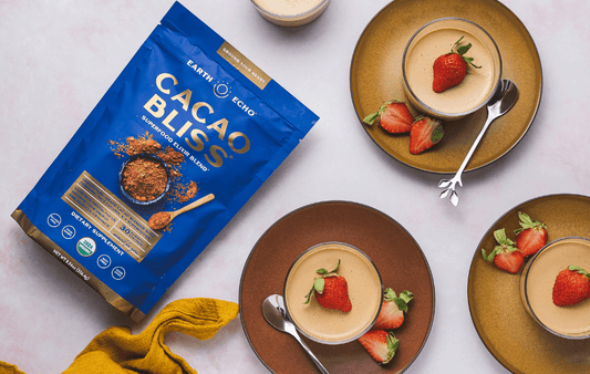 Healthy No-Bake Cacao Cheesecake Recipe