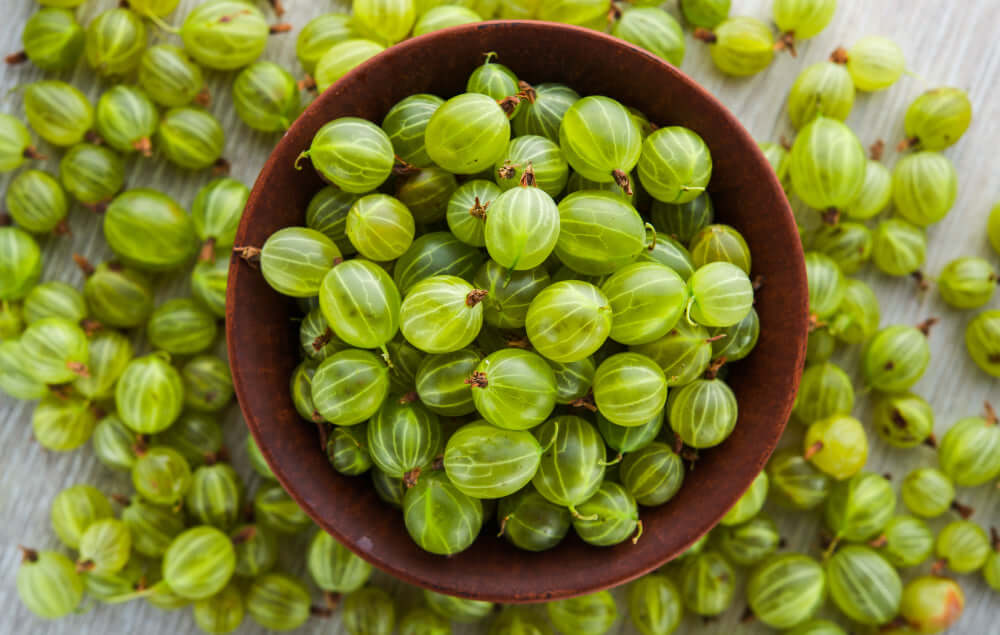 Amla Berry: The Wonderberry